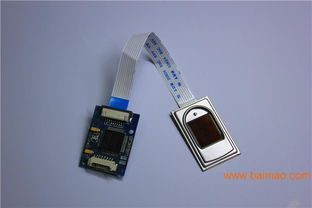 友博泰克嵌入式半導(dǎo)體采集指紋開發(fā)模塊 智能指紋鎖模塊的技術(shù)、生產(chǎn)與價格分析